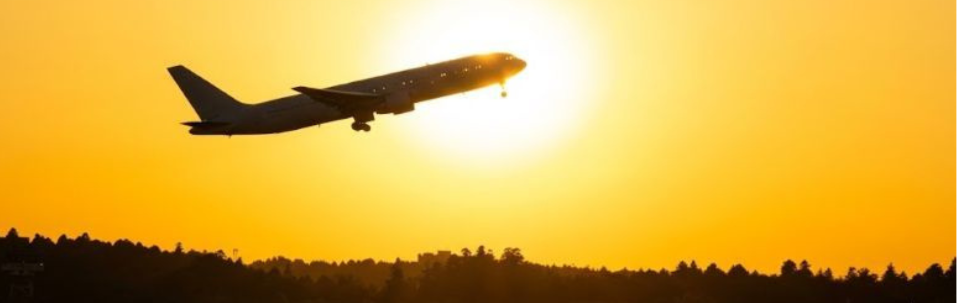 在留資格申請サポート｜広島 行政書士江島世鉉事務所